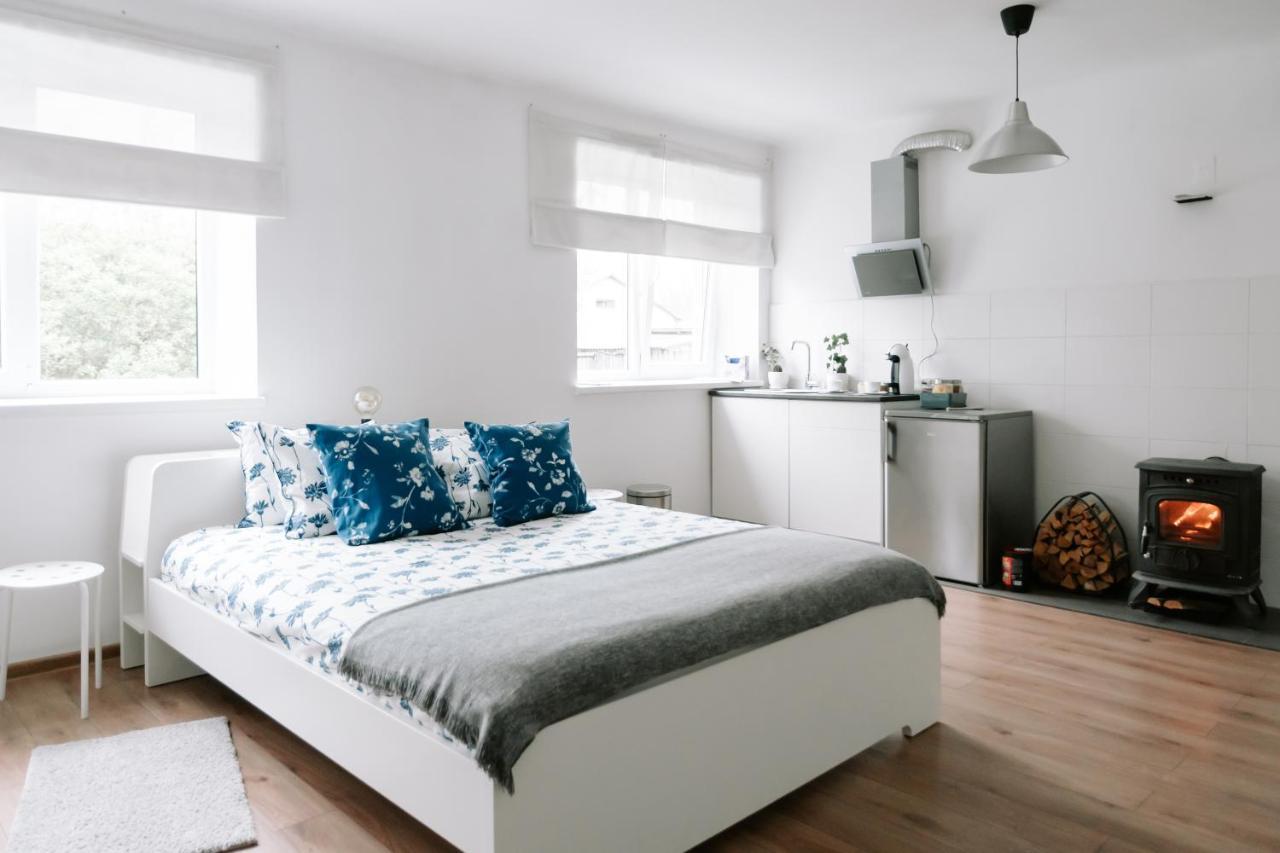 Lake Aluksne Studio Apartment 외부 사진